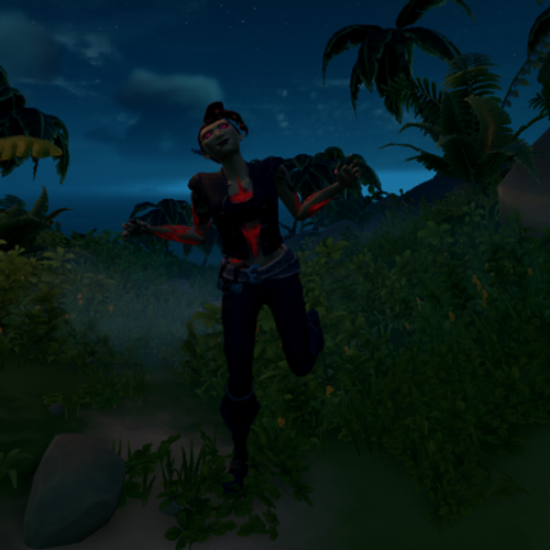 WindRider Pirate Profile